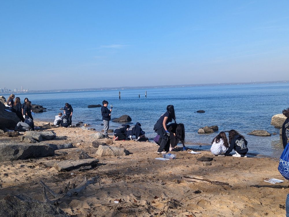 Self Guided Programs