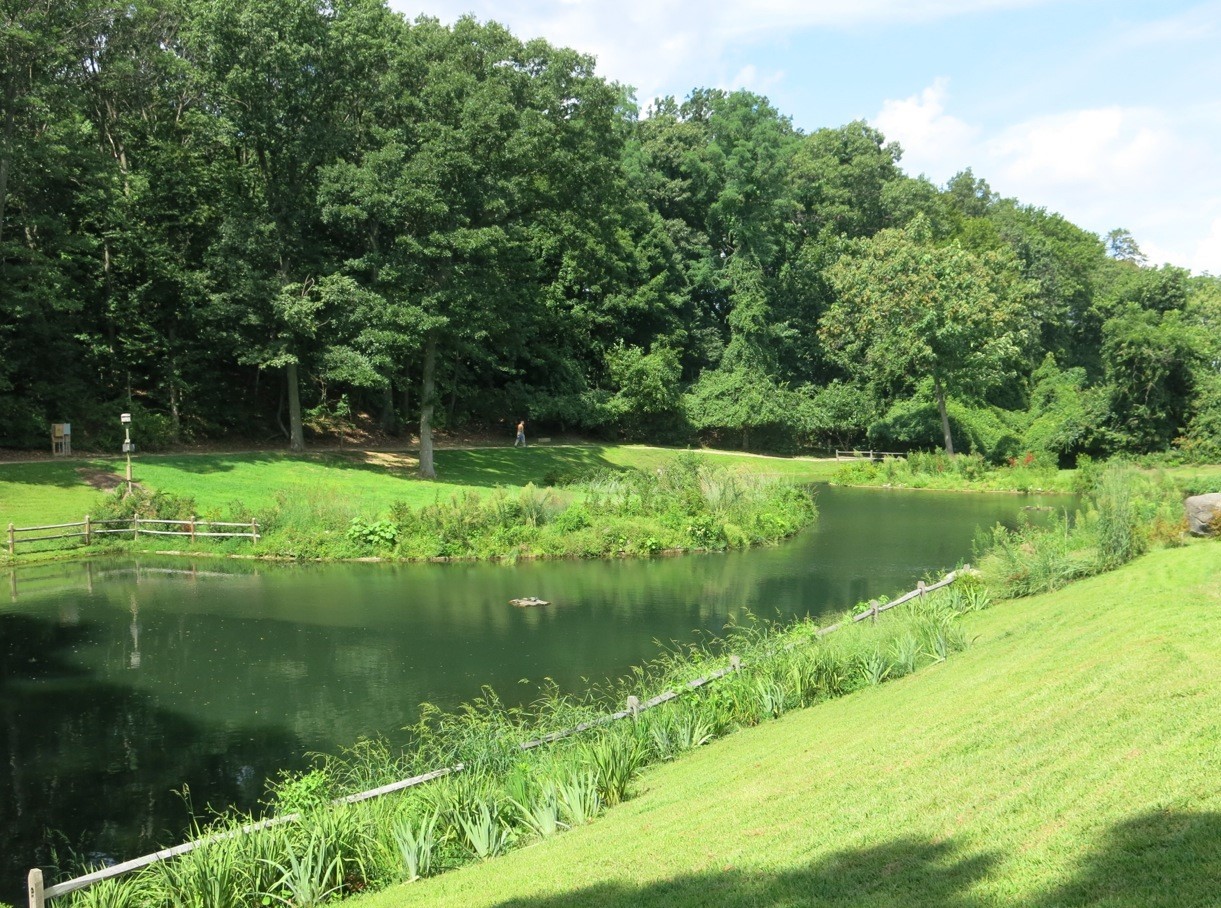 Sands Point Preserve Pond
