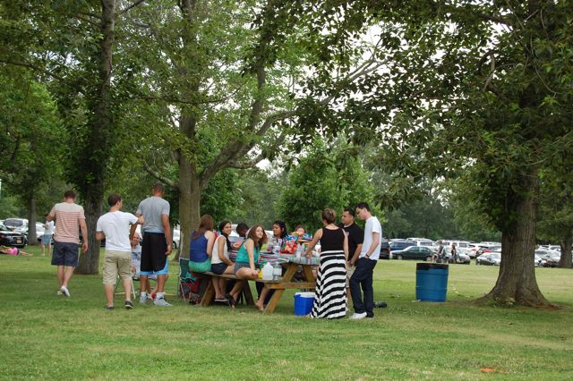 Woodstock Picnic Group